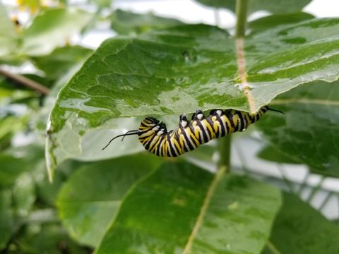 Tiny photo for 2429 Hoard Street, Madison, WI 53704 (MLS # 2013610)