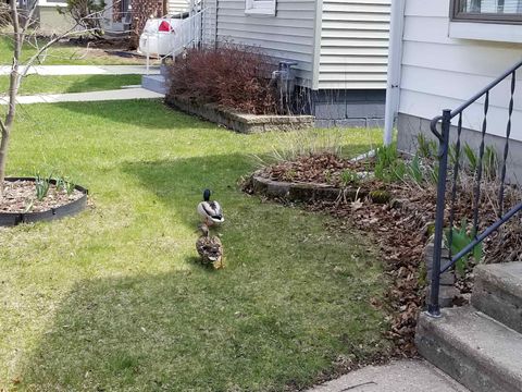 Tiny photo for 2429 Hoard Street, Madison, WI 53704 (MLS # 2013610)