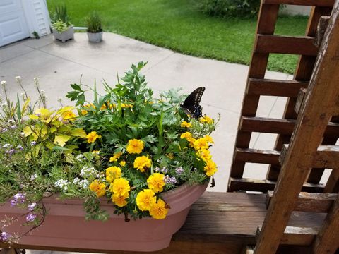 Tiny photo for 2429 Hoard Street, Madison, WI 53704 (MLS # 2013610)