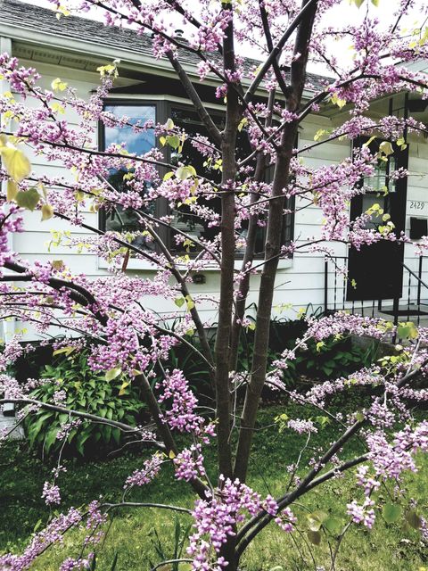 Tiny photo for 2429 Hoard Street, Madison, WI 53704 (MLS # 2013610)