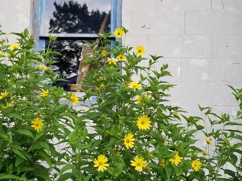 Tiny photo for 2429 Hoard Street, Madison, WI 53704 (MLS # 2013610)