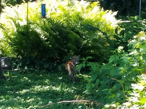 Tiny photo for 2429 Hoard Street, Madison, WI 53704 (MLS # 2013610)