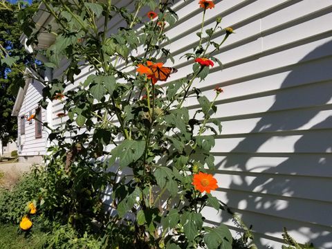 Tiny photo for 2429 Hoard Street, Madison, WI 53704 (MLS # 2013610)