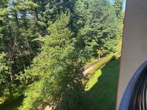 Tiny photo for 2411 River Road 2443 #2443, Wisconsin Dells, WI 53965 (MLS # 2000189)