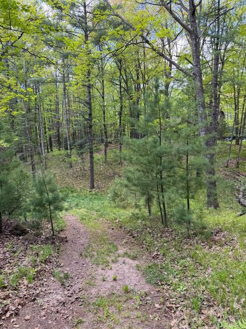 Photo of Trailwood Drive, Minocqua, WI 54548 (MLS # 2021409)