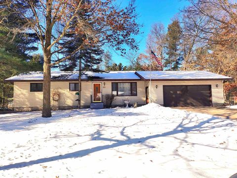 Photo of 321 N Vincennes Street, Adams, WI 53910 (MLS # 2016405)