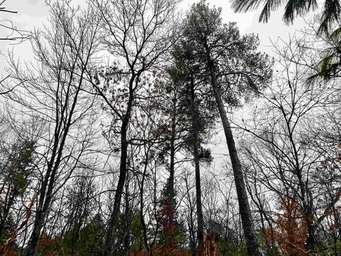 Tiny photo for 456 Tomahawk Trail, Nekoosa, WI 54457 (MLS # 2013481)