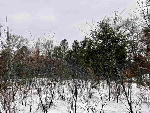 Tiny photo for 456 Tomahawk Trail, Nekoosa, WI 54457 (MLS # 2013481)