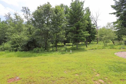 Tiny photo for 1343 Rapids Trail, Nekoosa, WI 54457 (MLS # 2004990)