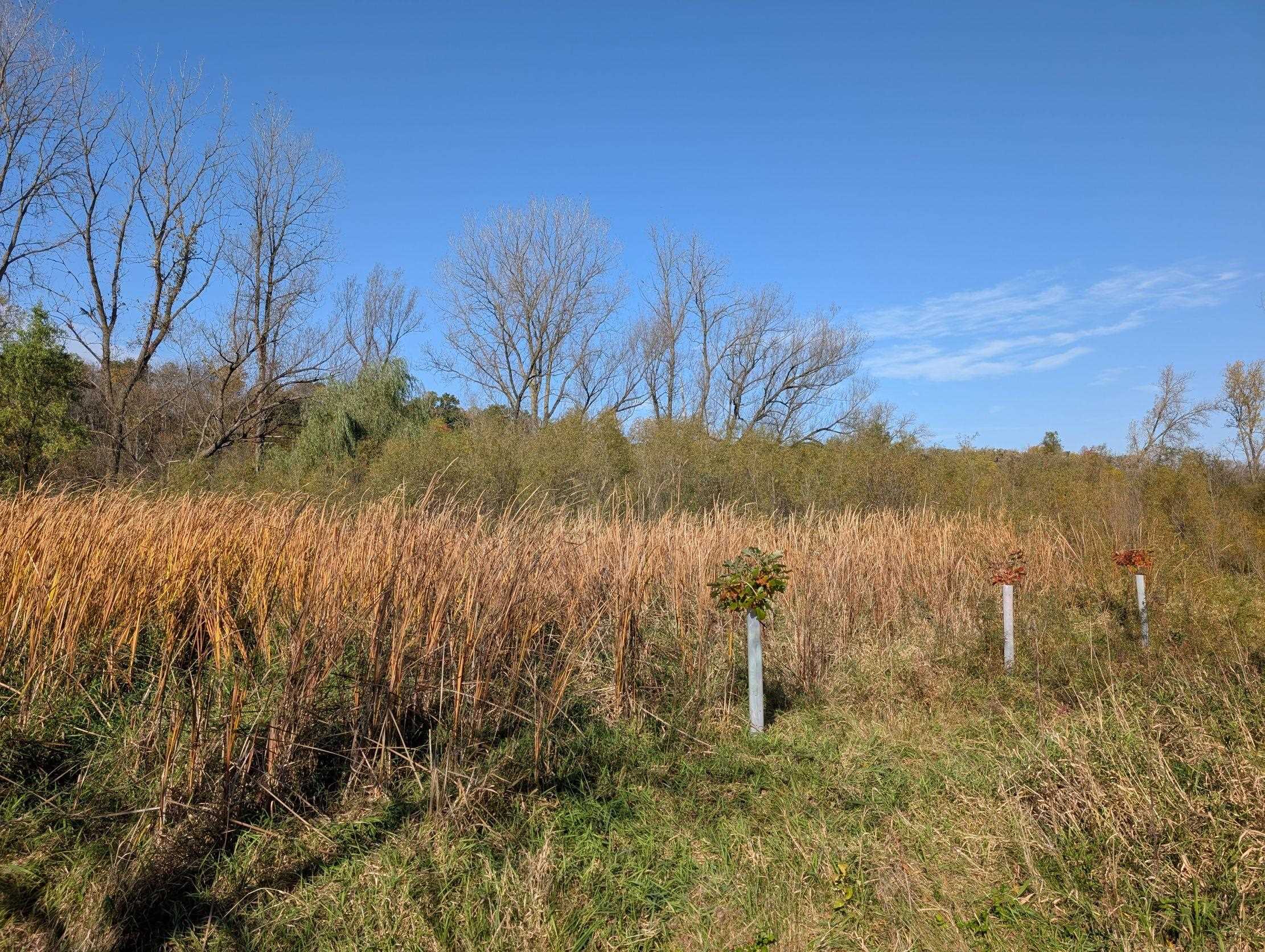 12.19 ac County Road Z