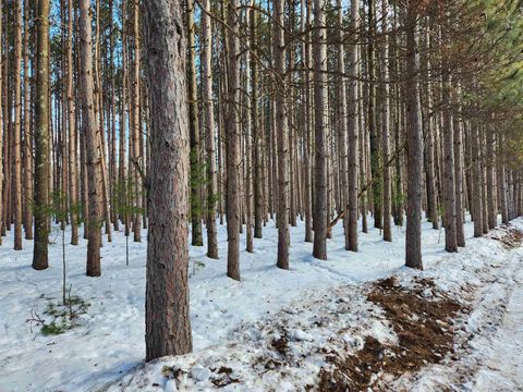 Photo of Lot 2 Meiller Road, Montello, WI 53949 (MLS # 2013946)