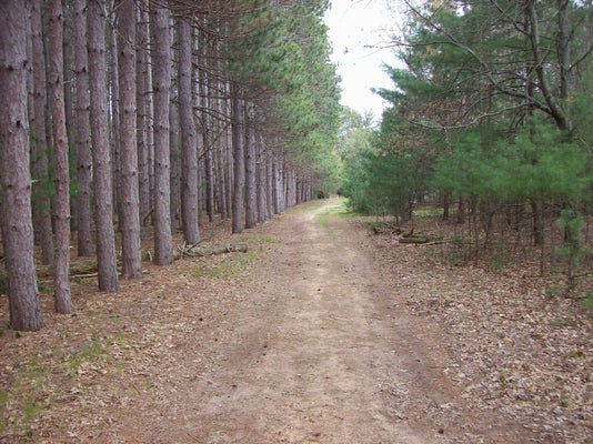 MILLER RD, MARKESAN, WI 53946 - Image a8b8ddcf514c1b00f7cf149b8e83292f/3238095477
