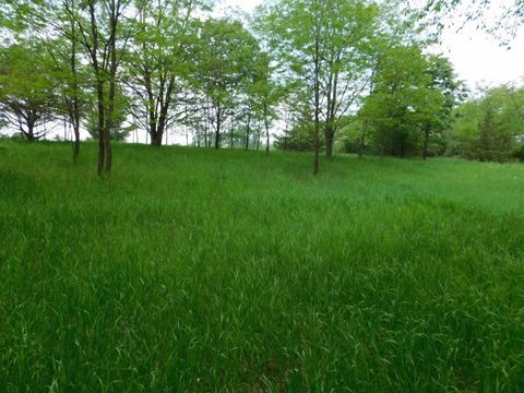 Tiny photo for Lot 57 Eagle Lane, Montello, WI 53949 (MLS # 2001136)