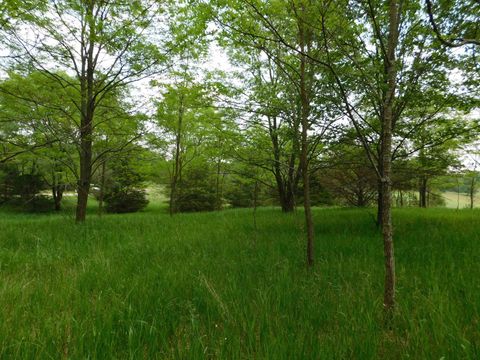 Tiny photo for Lot 57 Eagle Lane, Montello, WI 53949 (MLS # 2001136)