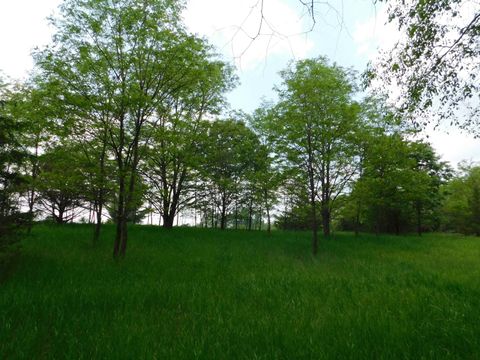 Tiny photo for Lot 57 Eagle Lane, Montello, WI 53949 (MLS # 2001136)