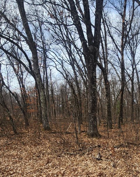 Tiny photo for 1553 Kingswood Trail, Nekoosa, WI 54457 (MLS # 1995469)