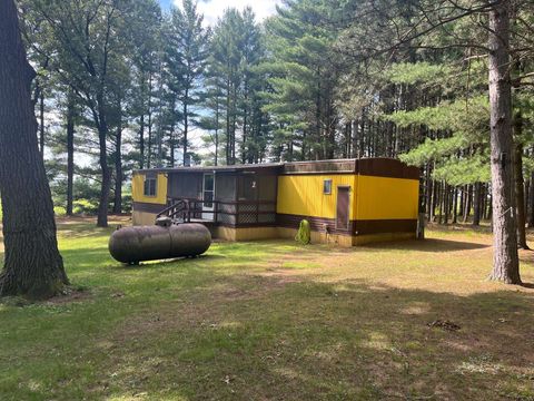 Tiny photo for 249 Dyke Avenue, Grand Marsh, WI 53936 (MLS # 2003258)