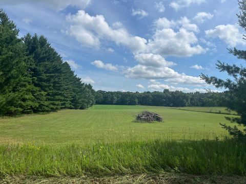 Tiny photo for 249 Dyke Avenue, Grand Marsh, WI 53936 (MLS # 2003258)