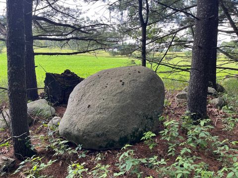 Tiny photo for 249 Dyke Avenue, Grand Marsh, WI 53936 (MLS # 2003258)