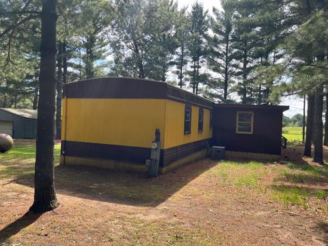 Tiny photo for 249 Dyke Avenue, Grand Marsh, WI 53936 (MLS # 2003258)