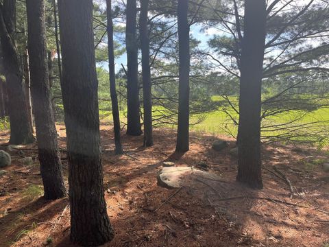 Tiny photo for 249 Dyke Avenue, Grand Marsh, WI 53936 (MLS # 2003258)