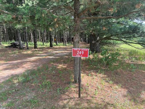 Tiny photo for 249 Dyke Avenue, Grand Marsh, WI 53936 (MLS # 2003258)