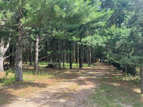 Tiny photo for 249 Dyke Avenue, Grand Marsh, WI 53936 (MLS # 2003258)