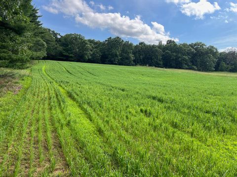 Tiny photo for 249 Dyke Avenue, Grand Marsh, WI 53936 (MLS # 2003258)