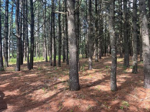 Tiny photo for 249 Dyke Avenue, Grand Marsh, WI 53936 (MLS # 2003258)