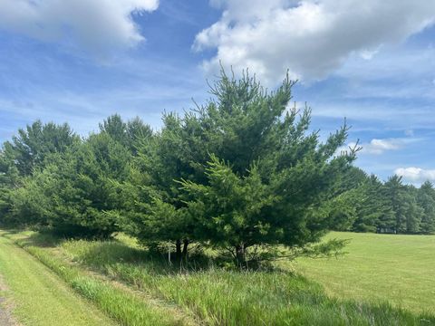 Tiny photo for 249 Dyke Avenue, Grand Marsh, WI 53936 (MLS # 2003258)