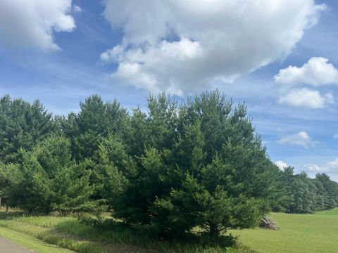 Tiny photo for 249 Dyke Avenue, Grand Marsh, WI 53936 (MLS # 2003258)