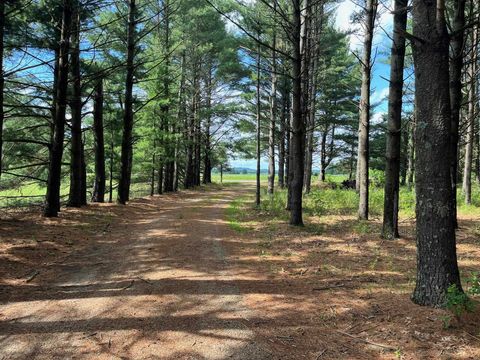 Tiny photo for 249 Dyke Avenue, Grand Marsh, WI 53936 (MLS # 2003258)