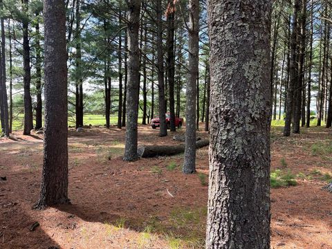 Tiny photo for 249 Dyke Avenue, Grand Marsh, WI 53936 (MLS # 2003258)