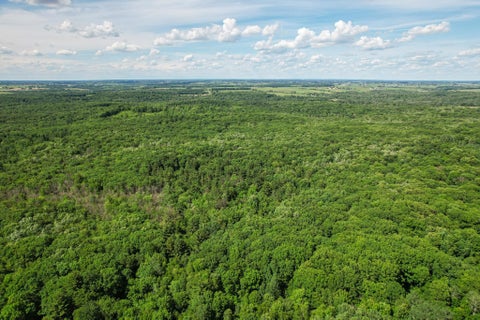 Photo of 0000 Cloverdale Road, Thorp, WI 54771 (MLS # 2027060)