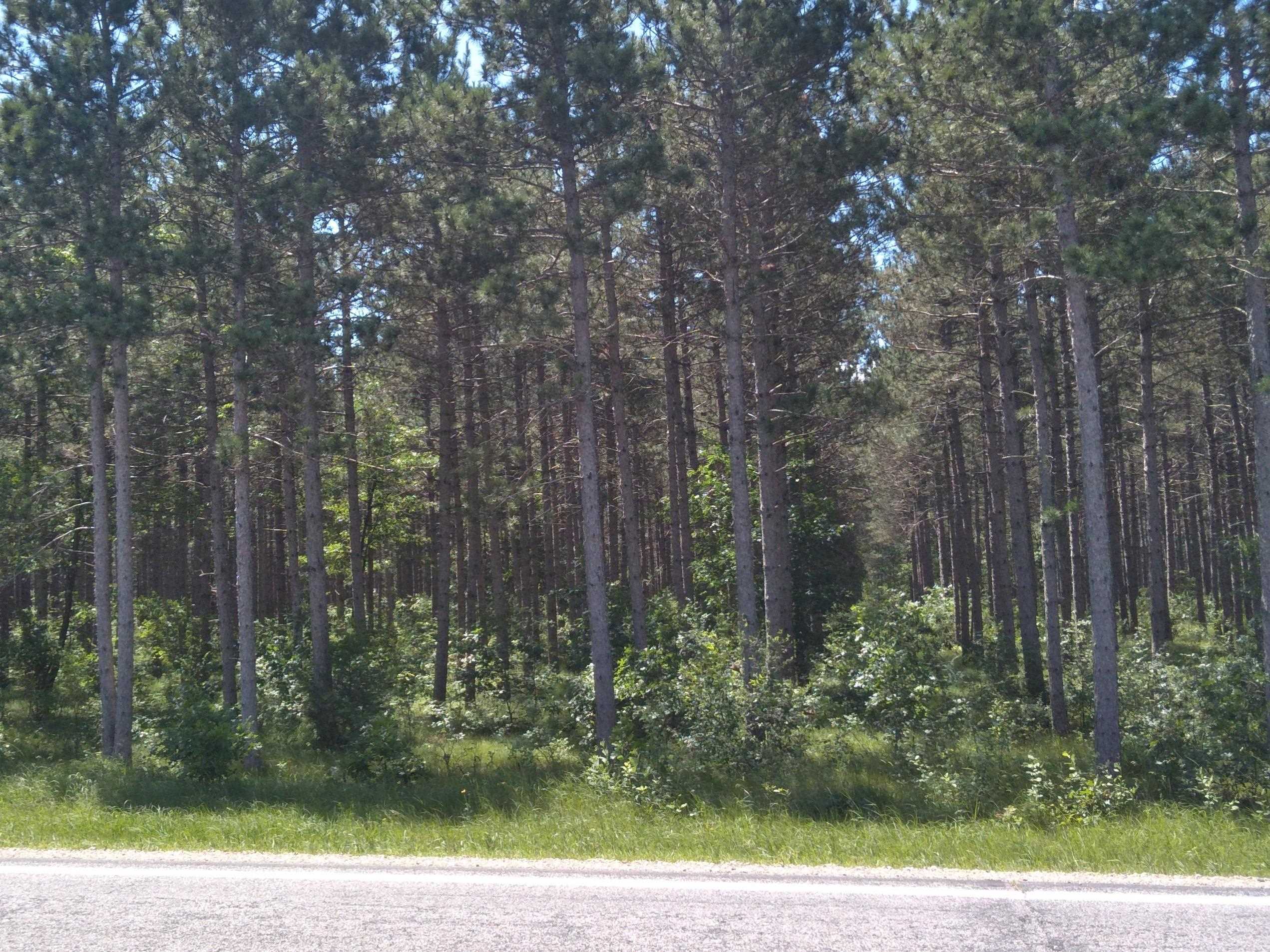 9.17 AC County D Road