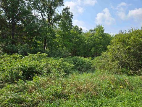 Tiny photo for 0 Chicago Avenue, Coloma, WI 54930 (MLS # 2006349)