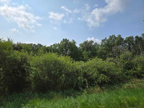 Tiny photo for 0 Chicago Avenue, Coloma, WI 54930 (MLS # 2006349)