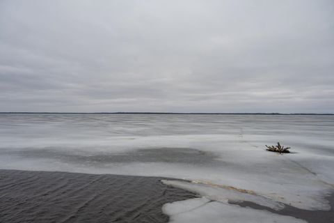 Tiny photo for 685 17th Drive, Arkdale, WI 54613 (MLS # 1994742)