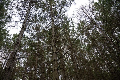 Tiny photo for 685 17th Drive, Arkdale, WI 54613 (MLS # 1994742)