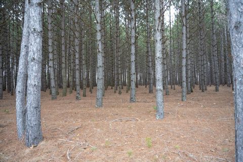 Tiny photo for 685 17th Drive, Arkdale, WI 54613 (MLS # 1994742)