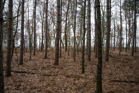 Tiny photo for 685 17th Drive, Arkdale, WI 54613 (MLS # 1994742)