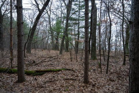 Tiny photo for 685 17th Drive, Arkdale, WI 54613 (MLS # 1994742)