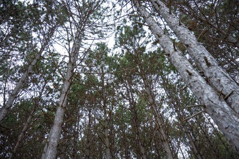 Tiny photo for 685 17th Drive, Arkdale, WI 54613 (MLS # 1994742)