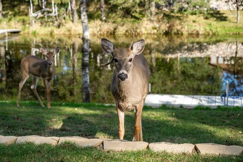 Tiny photo for 857 Kings Way, Nekoosa, WI 54457 (MLS # 2009529)