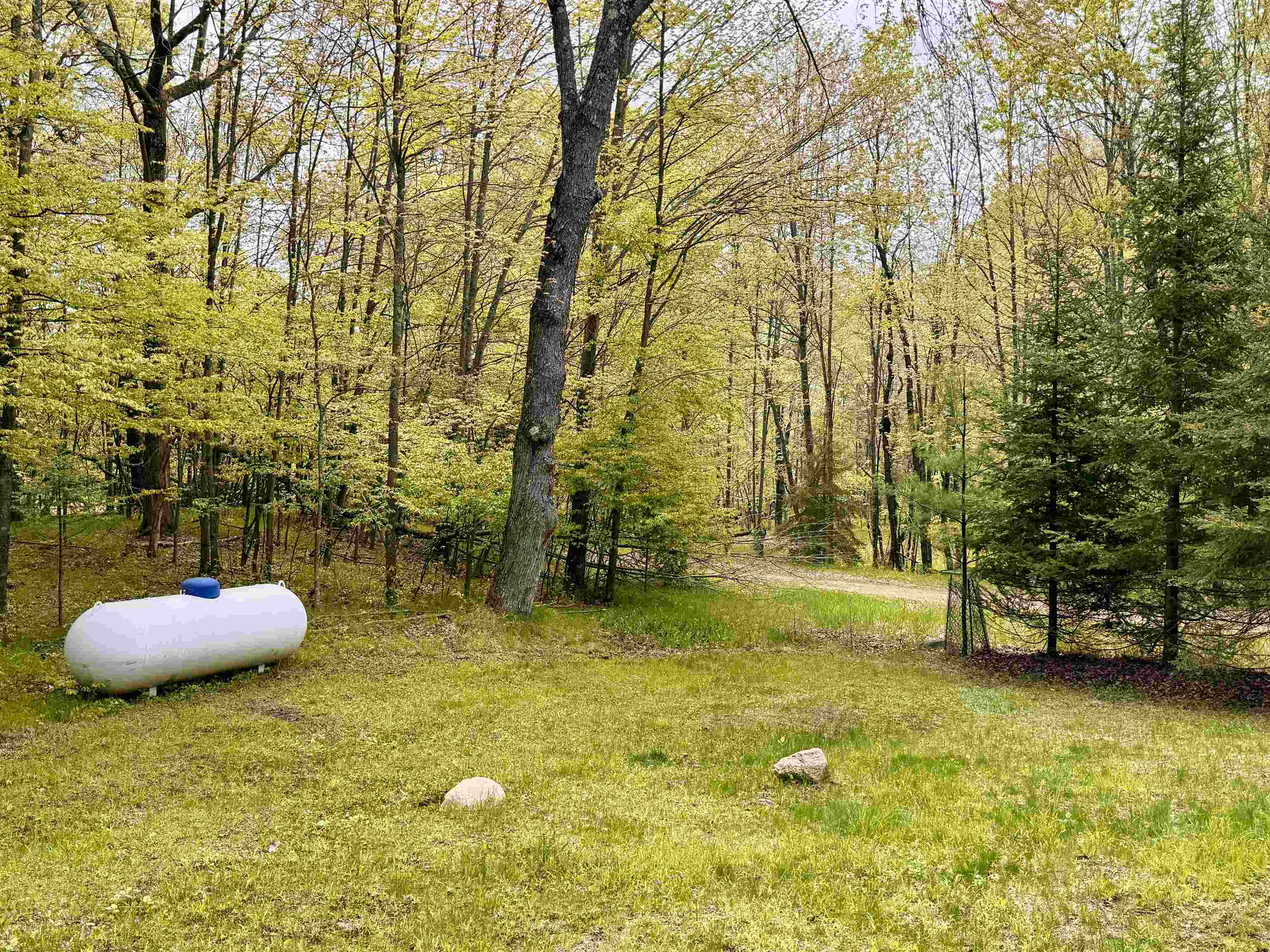 Athelstane, Wisconsin 54104, United States, 2 Bedrooms Bedrooms, ,1 BathroomBathrooms,Residential,Active,163559