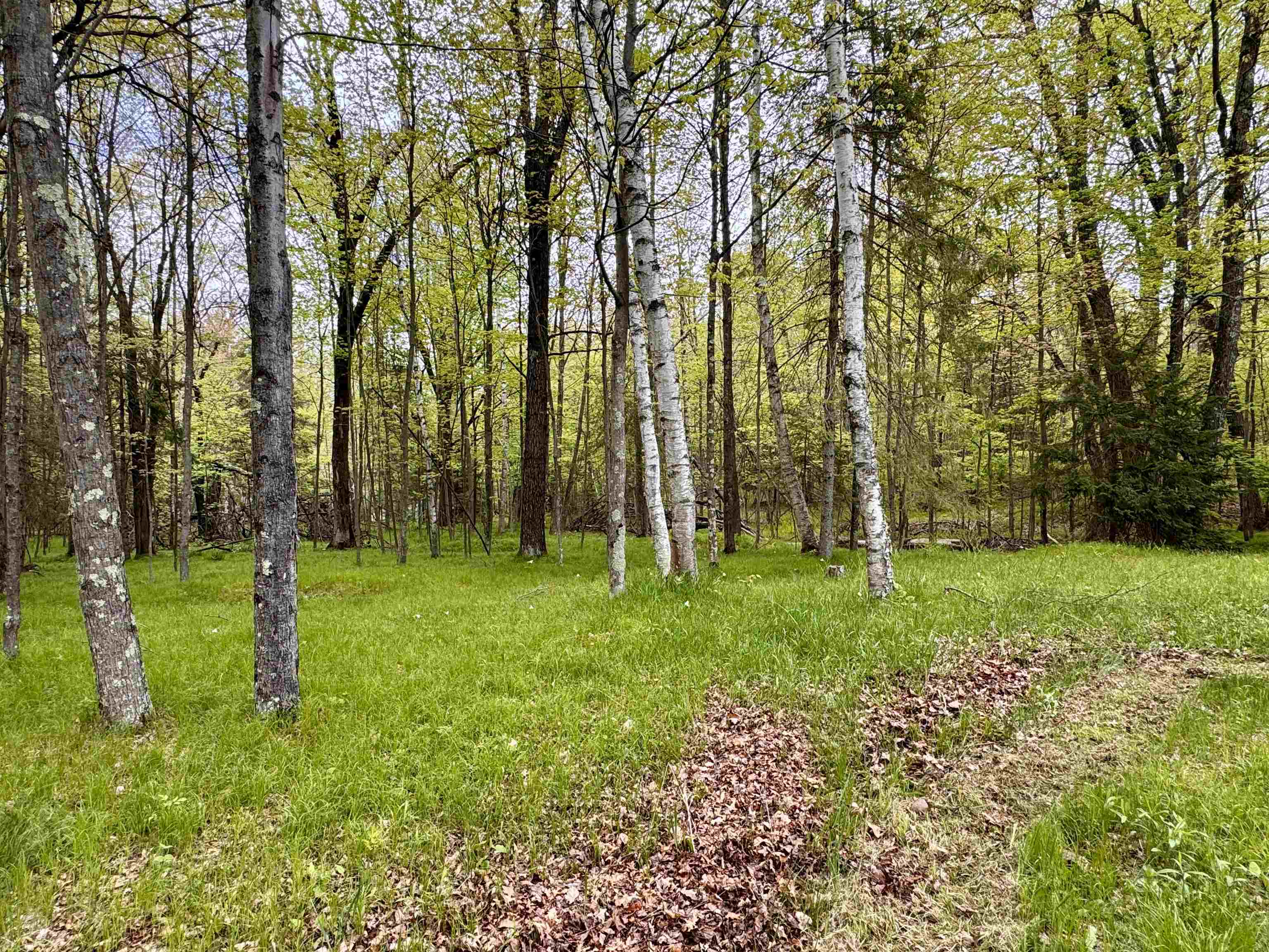 Athelstane, Wisconsin 54104, United States, 2 Bedrooms Bedrooms, ,1 BathroomBathrooms,Residential,Active,163559