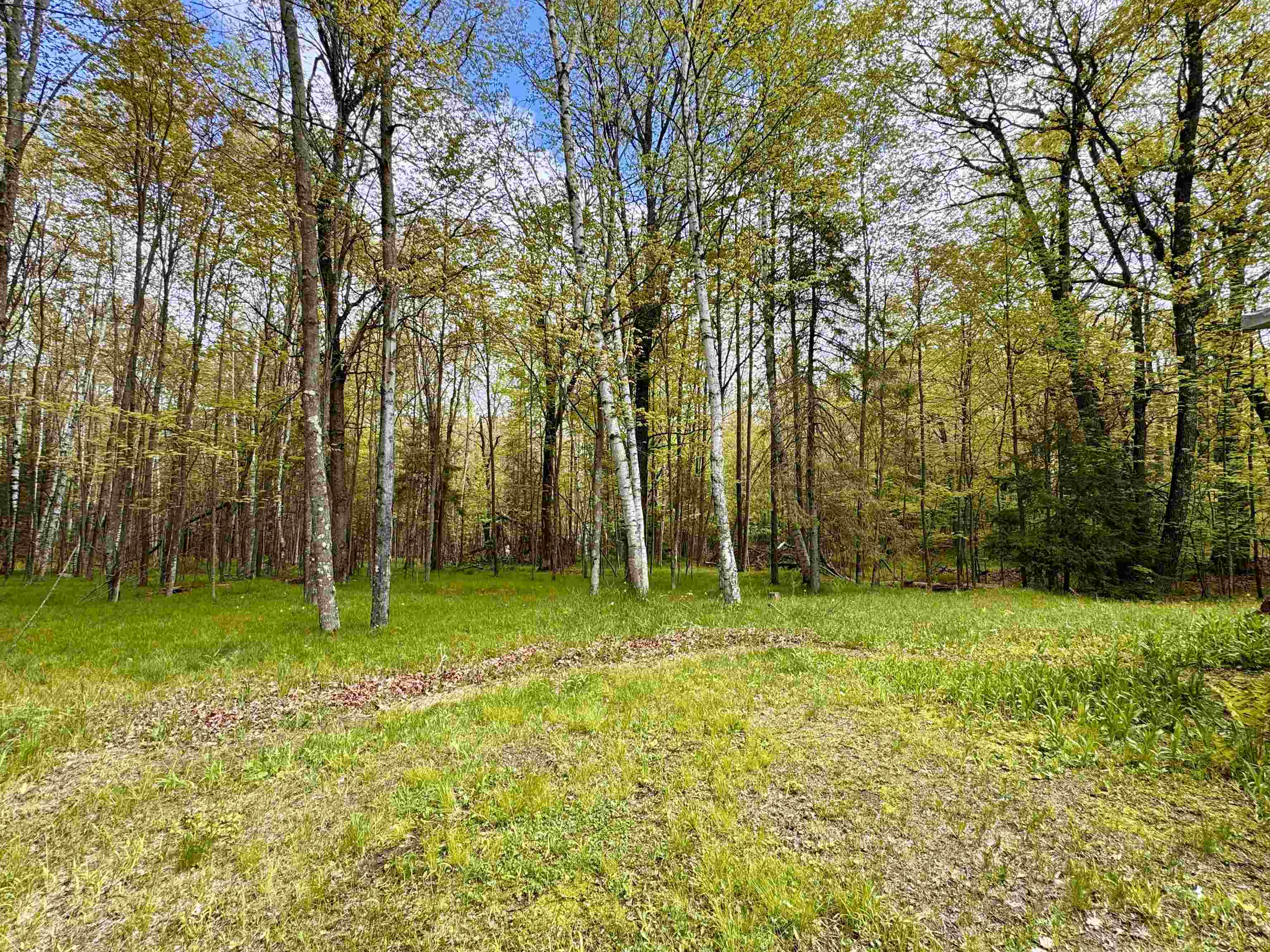 Athelstane, Wisconsin 54104, United States, 2 Bedrooms Bedrooms, ,1 BathroomBathrooms,Residential,Active,163559