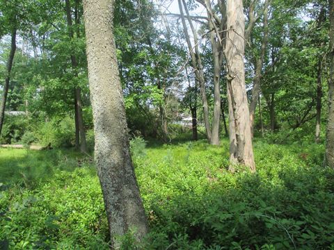 Tiny photo for N3571 E Tomahawk Trail, Montello, WI 53949 (MLS # 2005523)