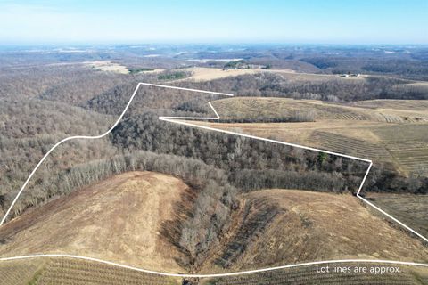 Photo of 62 acres State Highway 171, Gays Mills, WI 54631 (MLS # 2018964)