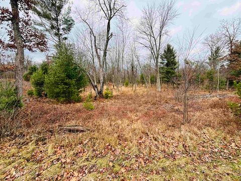 Tiny photo for 803 County A Road, Grand Marsh, WI 53965 (MLS # 1989809)